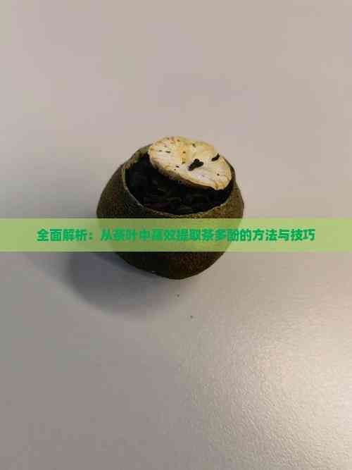 全面解析：從茶葉中高效提取茶多酚的方法與技巧