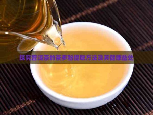 探究普洱茶的茶多酚提取方法及其健康益處