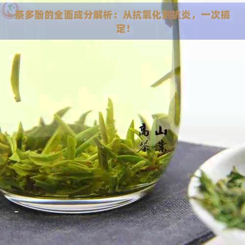 茶多酚的全面成分解析：從抗氧化到抗炎，一次搞定！
