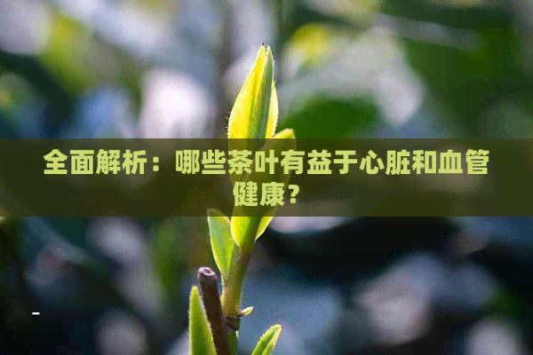全面解析：哪些茶葉有益于心臟和血管健康？