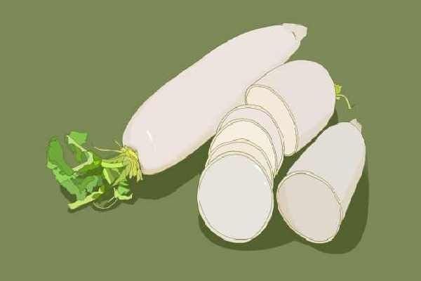 冬天吃哪些食物清熱解毒去火