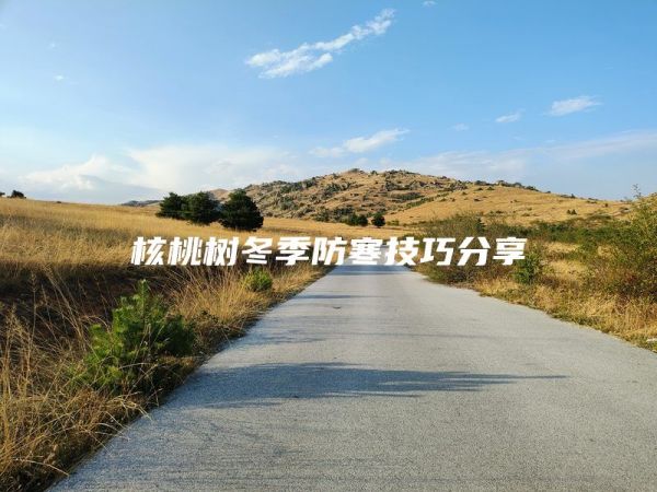 核桃樹冬季防寒技巧分享