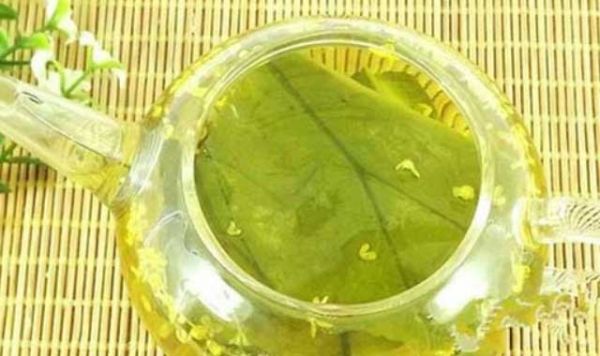 荷葉茶真的能減肥嗎 這到底是為什么