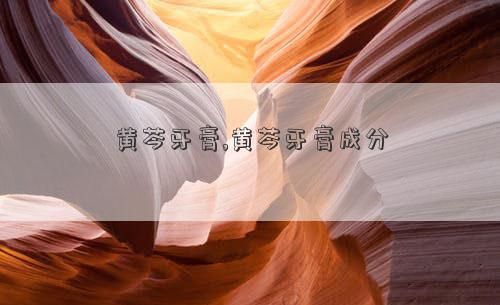 黃芩牙膏,黃芩牙膏成分