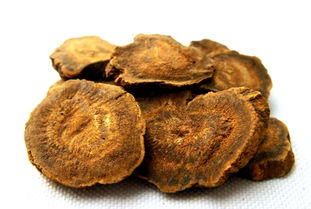 治療腎病 常用藥“大黃”的藥用價(jià)值