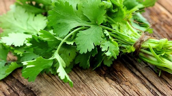 經(jīng)常吃香菜對(duì)身體好嗎