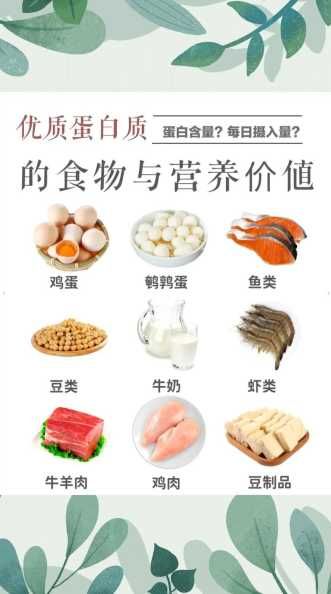 如何通過飲食有效增加蛋白質(zhì)？蛋白質(zhì)攝入有哪些食物推薦？ 第1張