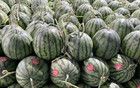 大跳水！已暴跌近50%，未來還會跌……