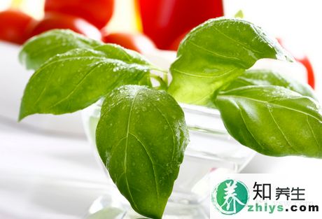 中藥羅勒的食用價值是什么？孕婦能吃嗎