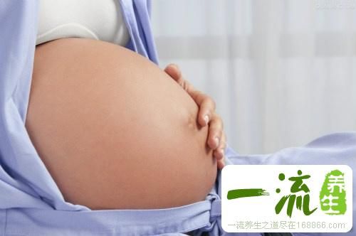 懷孕知識大全