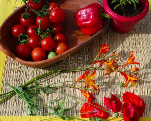 圣女果和紅花照片攝影圖片