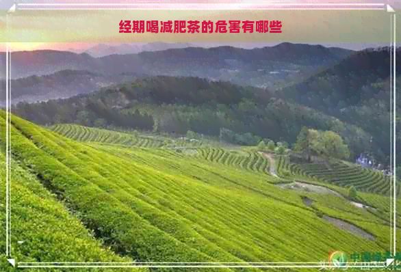 經(jīng)期喝減肥茶的危害有哪些
