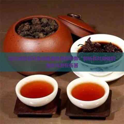 探究減肥茶對身體健康的潛在利弊：剖析其對身體的益處與潛在傷害