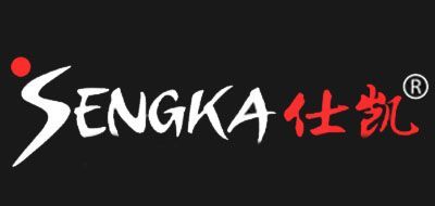 仕凱SENGKA動感單車標(biāo)志logo設(shè)計(jì),品牌設(shè)計(jì)vi策劃