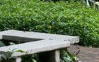 2條！蓮花山公園再次出現(xiàn)眼鏡蛇