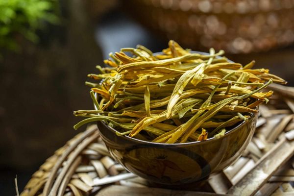 黃花菜的蟲害防治技術(shù)