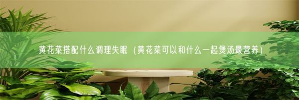 黃花菜搭配什么調(diào)理失眠（黃花菜可以和什么一起煲湯最營養(yǎng)）(圖1)