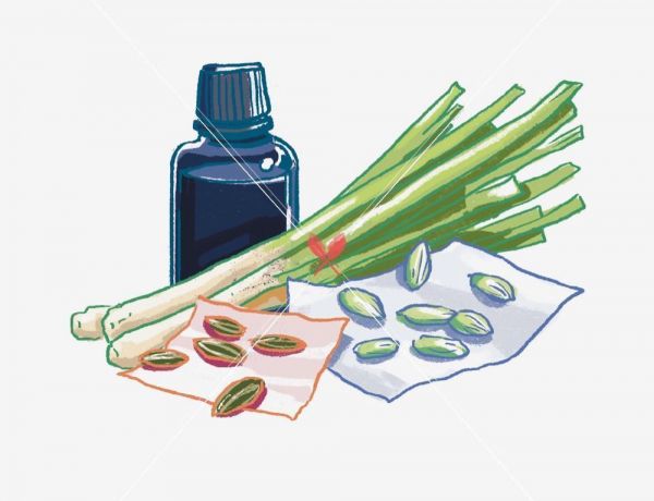 acupressure-points-for-fat-loss-with-essential-oil