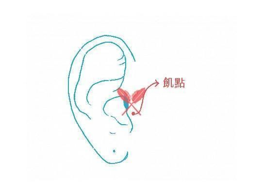 acupressure-points-for-fat-loss-with-essential-oil