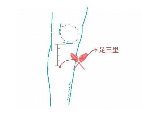 acupressure-points-for-fat-loss-with-essential-oil