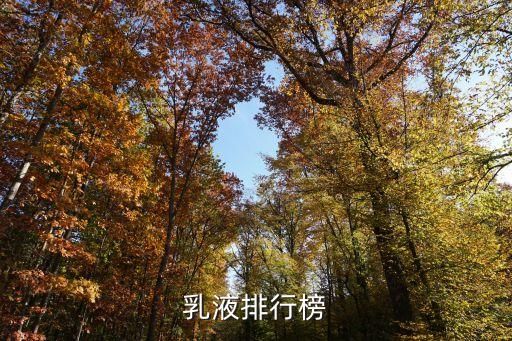 乳液排行榜