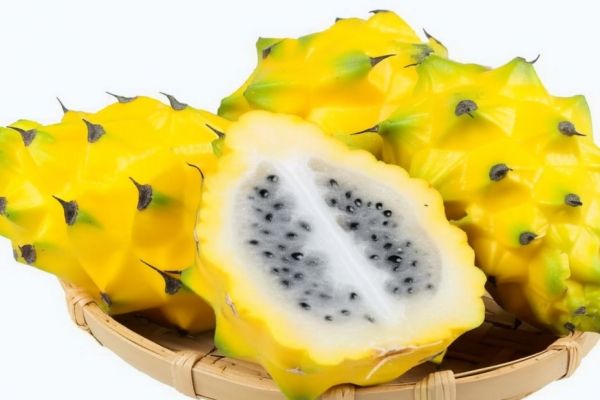 燕窩果的營(yíng)養(yǎng)價(jià)值及功效