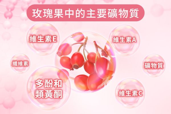 玫瑰果中的礦物質(zhì)