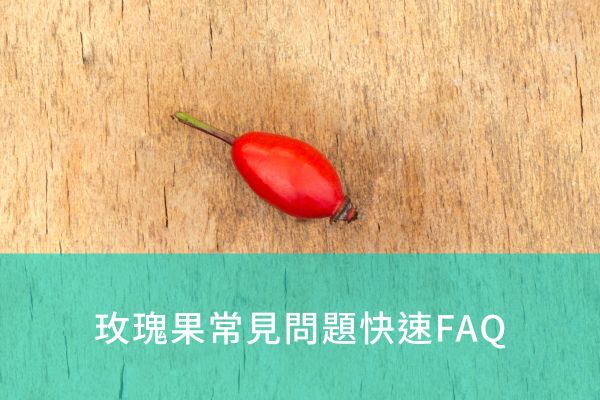 玫瑰果常見問題快速FAQ