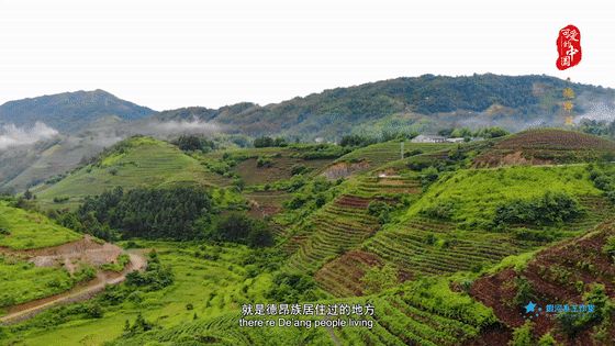 “可愛的中國”之德昂族：出生茶、定親茶、和睦茶……這個民族以茶為圖騰
