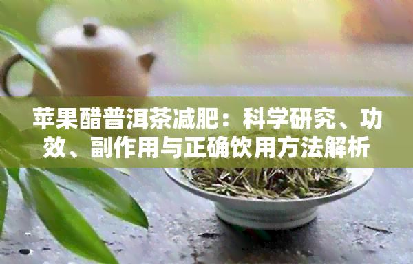 蘋果醋普洱茶減肥：科學(xué)研究、功效、副作用與正確飲用方法解析