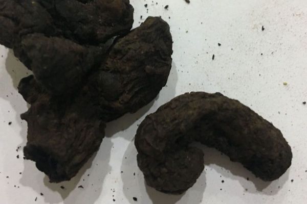 女人吃黃芪精的6個(gè)好處 黃芪精一般喝多久為一個(gè)療程 女人吃黃芪精的好處
