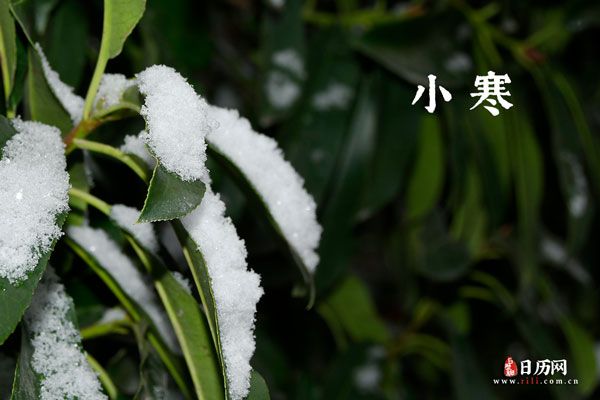 24節(jié)氣都吃什么傳統(tǒng)美食