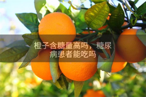 橙子含糖量高嗎,糖尿病患者能吃嗎