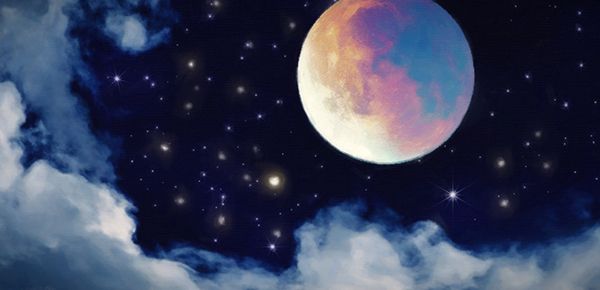 成年的讀書：推薦適合成年人的經(jīng)典讀物