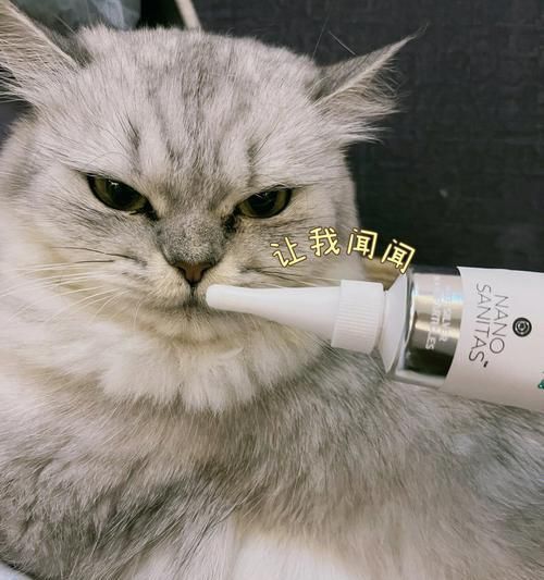 貓咪刷牙液體牙膏，寵物健康必備（口腔清潔保健的必需品）
