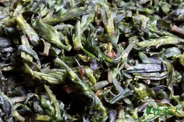 喝茶減肥嗎？喝什么茶(六大刮脂減肥茶介紹)