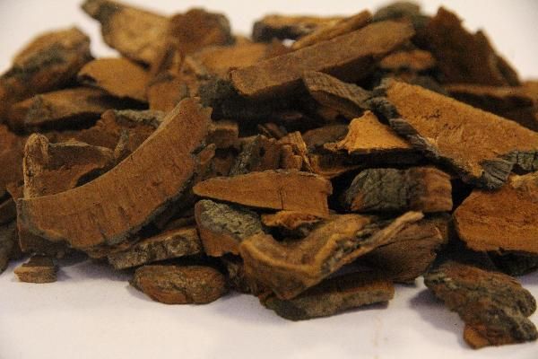 喝中药可不可以减肥