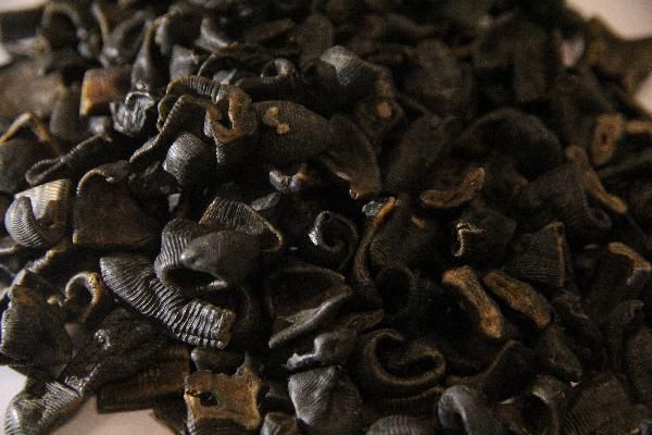 減脂肪最快的中藥