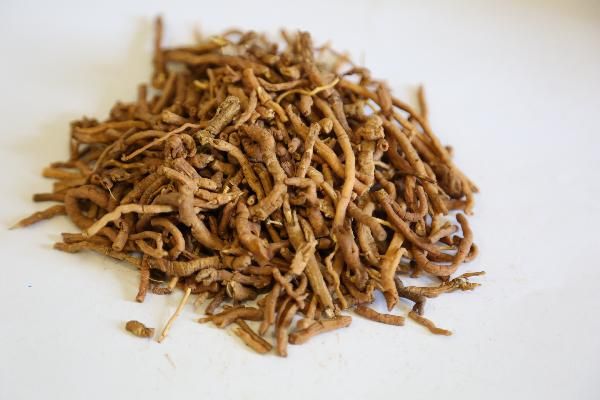 減脂肪最快的中藥