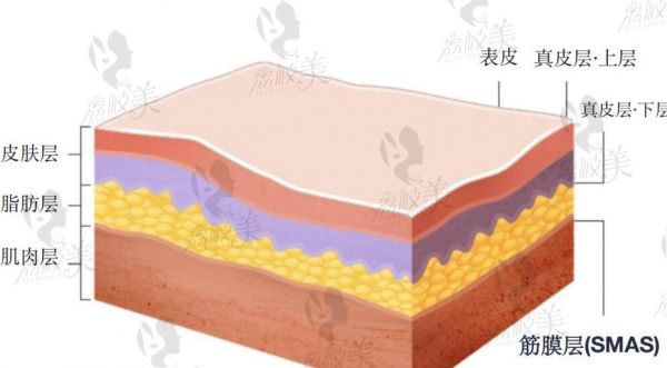 吸脂手術(shù)價格一覽表
