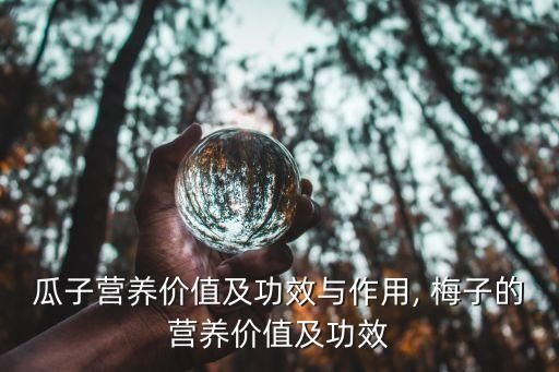 瓜子營養(yǎng)價(jià)值及功效與作用, 梅子的營養(yǎng)價(jià)值及功效