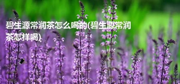碧生源常潤茶怎么喝的(碧生源常潤茶怎樣喝)