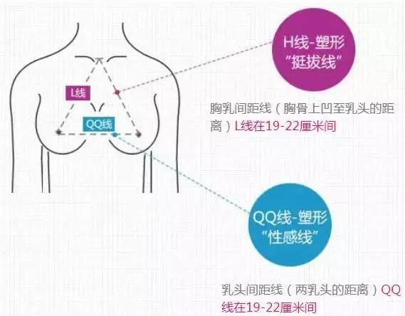 這幾個(gè)減脂動(dòng)作還能塑造黃金胸型，值得嘗試