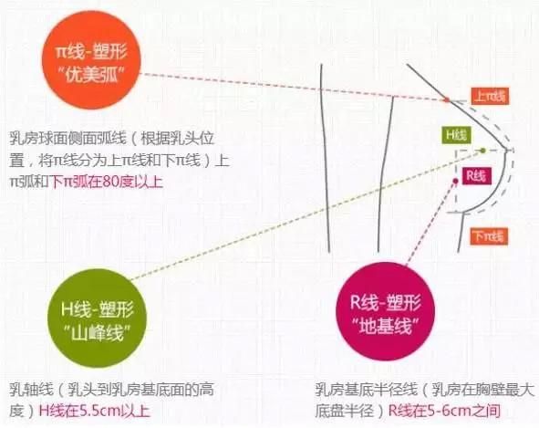 這幾個(gè)減脂動(dòng)作還能塑造黃金胸型，值得嘗試