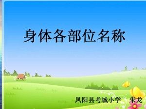 《第1課 體育與健康基礎(chǔ)知識：身體各部位名稱》PPT課件(安徽省市級優(yōu)課).ppt