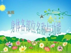 《第18課 體育與健康基礎(chǔ)知識(shí)：身體各部位的名稱(chēng)與功能》PPT課件(安徽省市級(jí)優(yōu)課).ppt