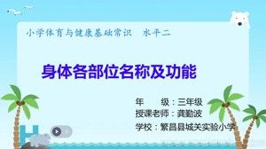 《第18課 體育與健康基礎(chǔ)知識：身體各部位的名稱與功能》PPT課件(安徽省市級優(yōu)課).ppt