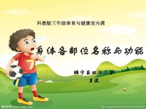 《第18課 體育與健康基礎(chǔ)知識：身體各部位的名稱與功能》PPT課件(江蘇省縣級優(yōu)課).ppt