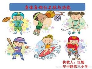 《第18課 體育與健康基礎(chǔ)知識：身體各部位的名稱與功能》PPT課件(安徽省市級優(yōu)課).ppt