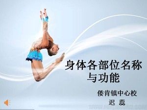 《第1課 體育與健康基礎(chǔ)知識(shí)：身體各部位名稱》PPT課件(黑龍江縣級(jí)優(yōu)課).ppt